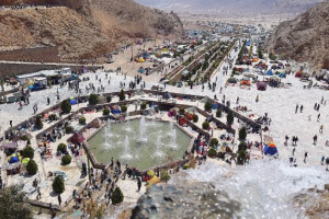 اخبار دانشکده